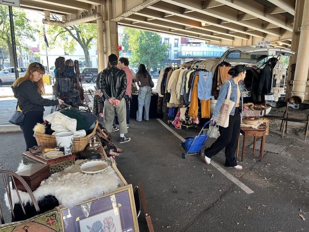 BQ Flea photo 5
