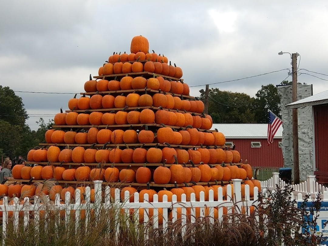 Salem County Fair Association photo 4