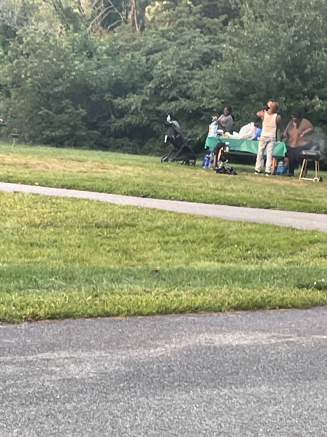 Shattuck Picnic Grove photo 2