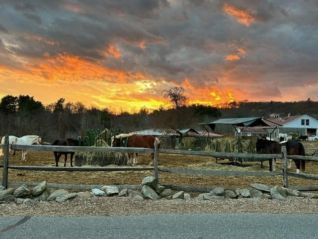 Stowe Farm photo 4