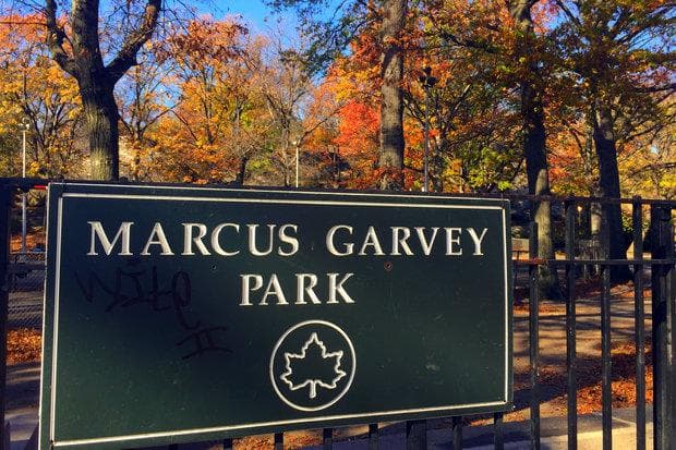 Marcus Garvey Park photo 1