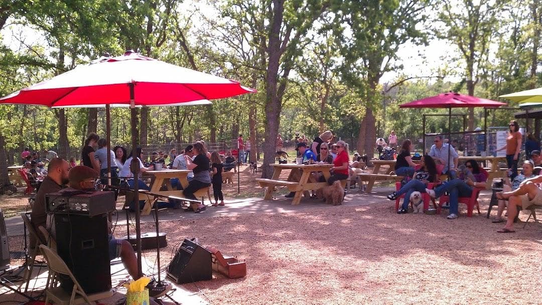 Dog House Drinkery & Dog Park photo 5