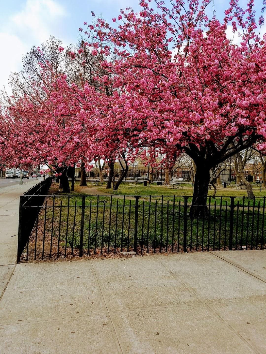 Cooper Park photo 6