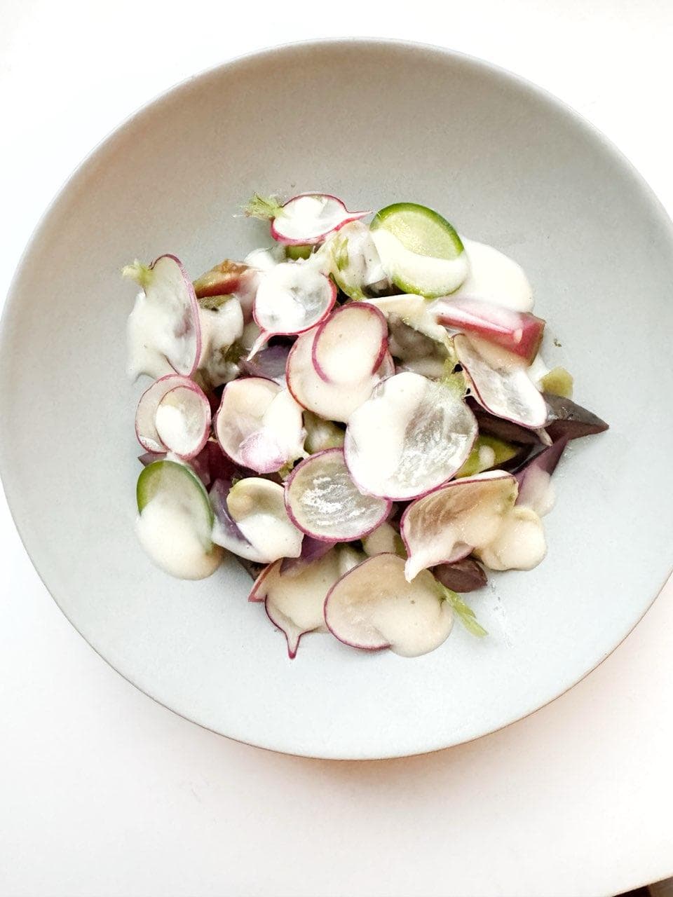 Clara photo 4