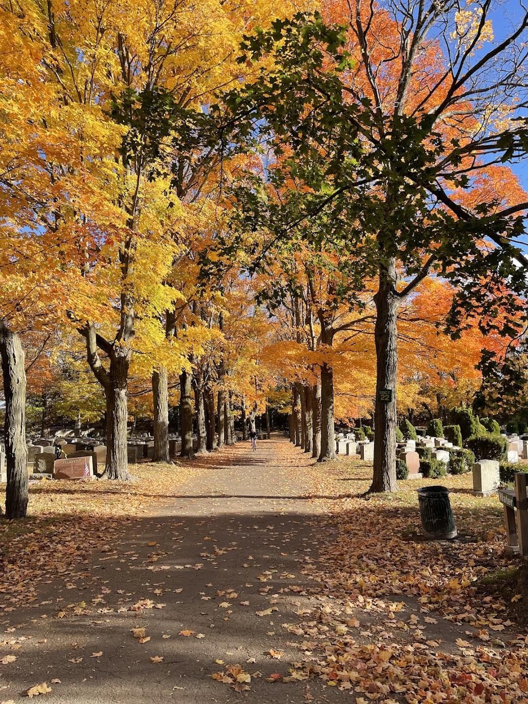 Cedar Grove Cemetery photo 4