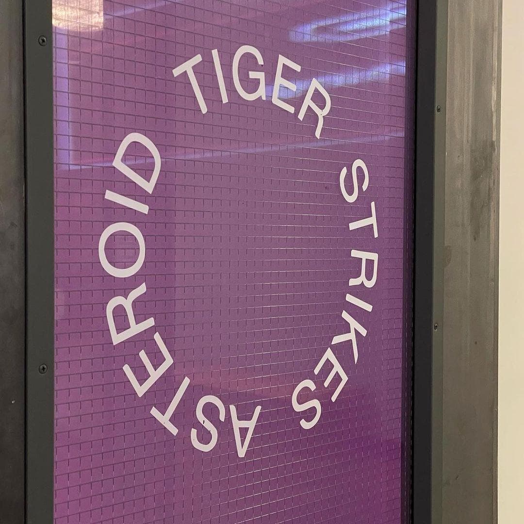 Tiger Strikes Asteroid Gallery photo 4