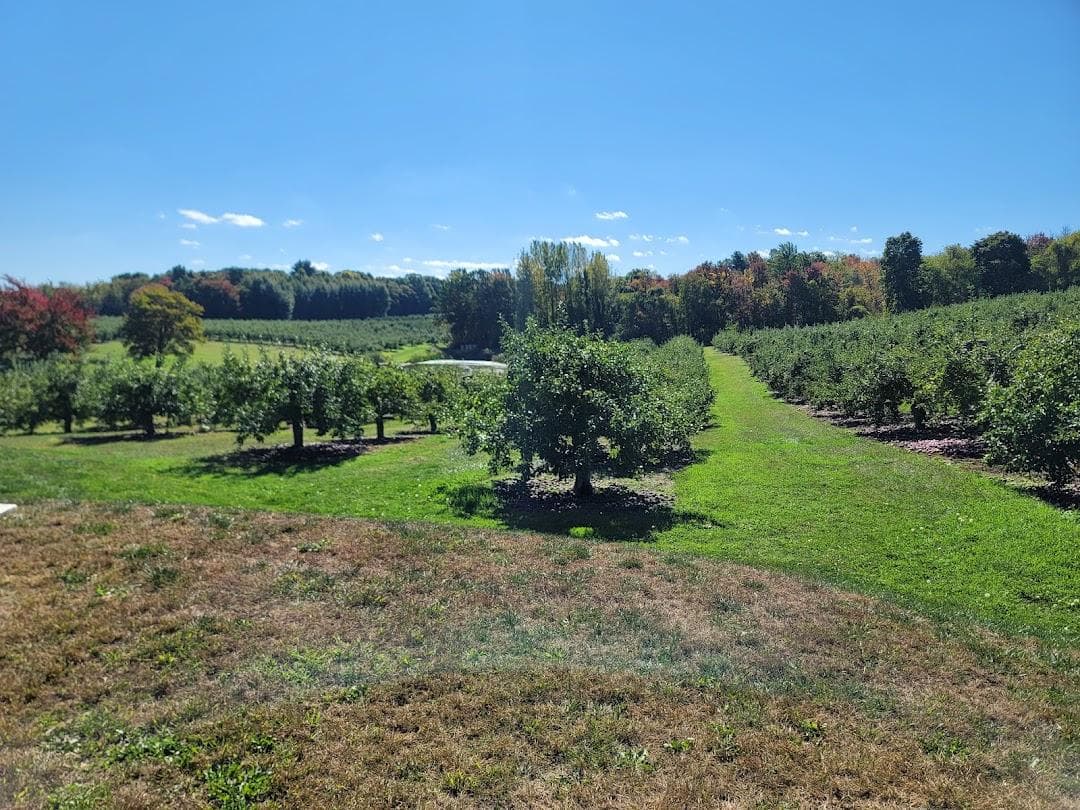 Meadowbrook Orchards photo 4