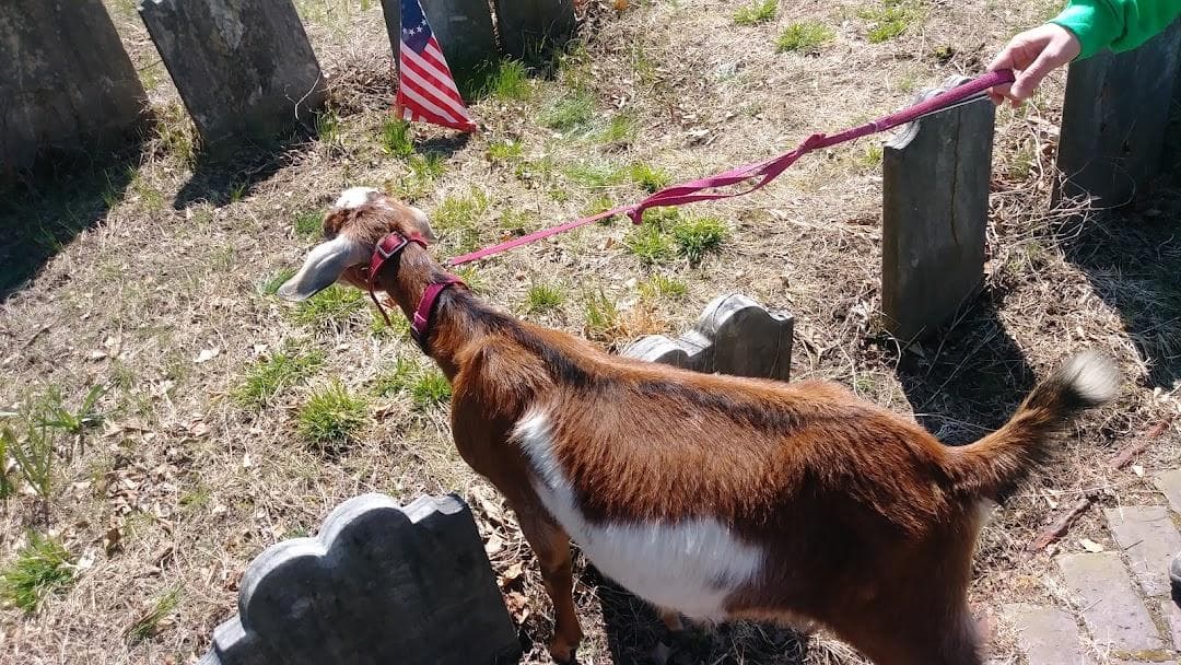 The Hood Cemetery photo 3