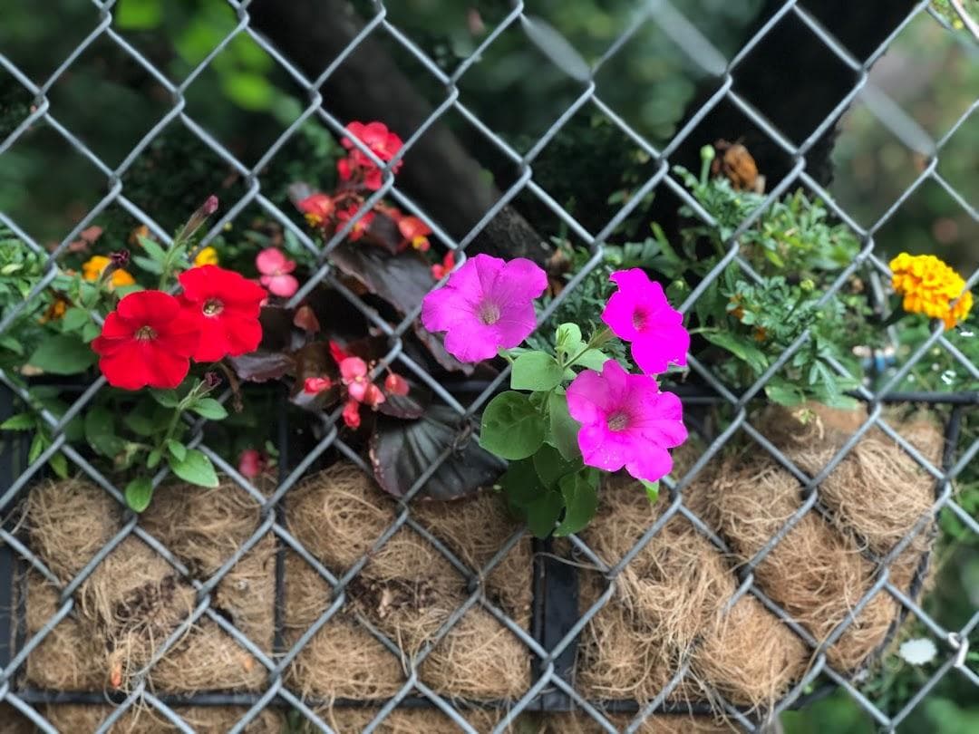 Children's Magical Garden photo 4