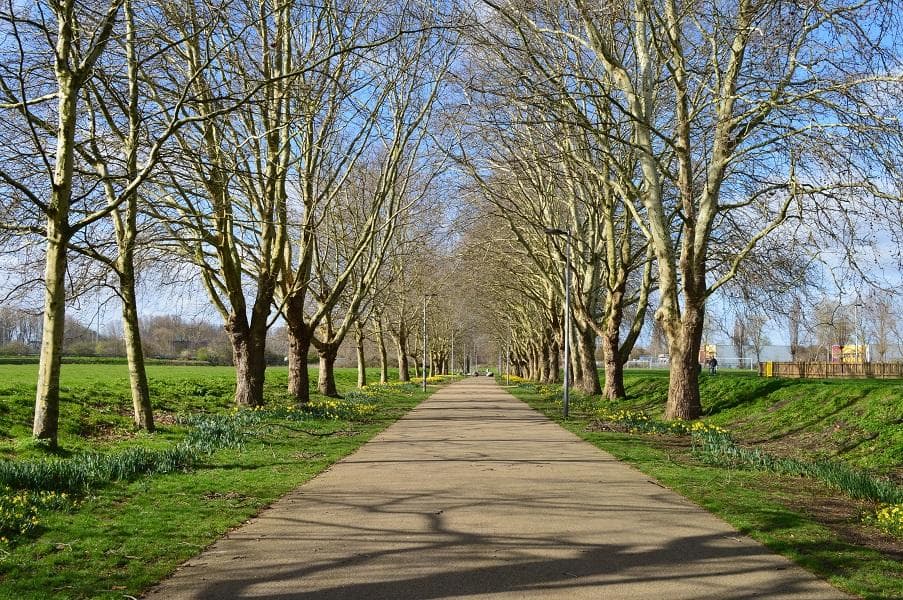 Leyton Jubilee Park photo 1