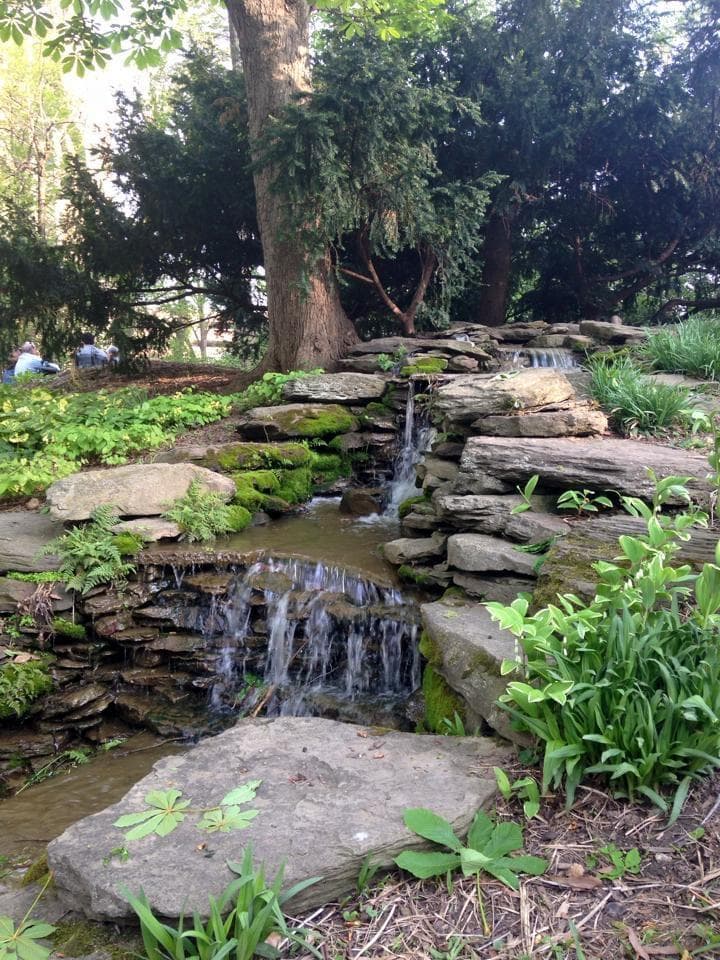 Biopond photo 2