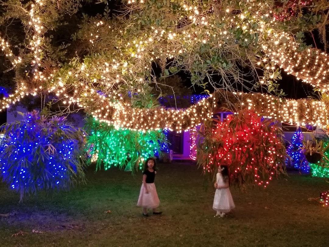 Enchanted Forest Elaine Gordon Park photo 3