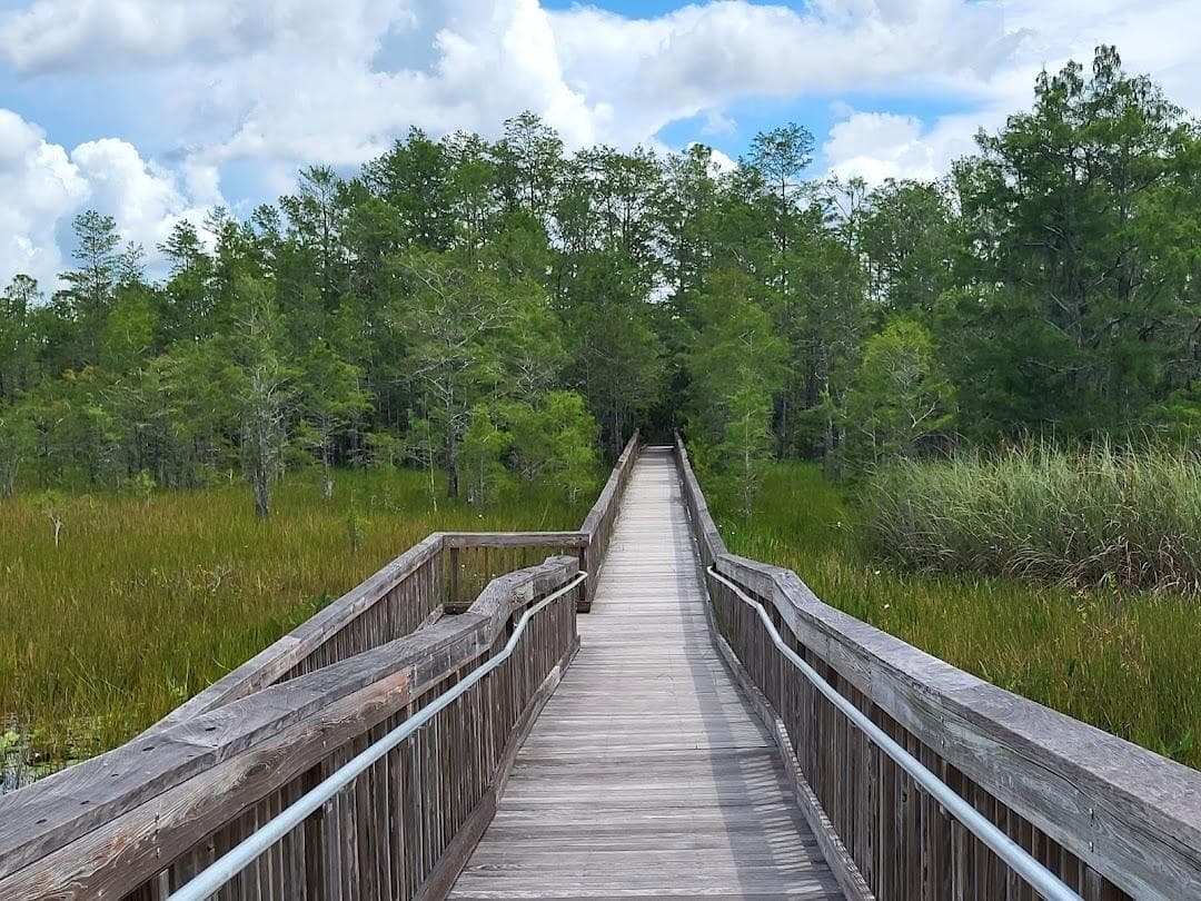 Grassy Waters Preserve photo 1