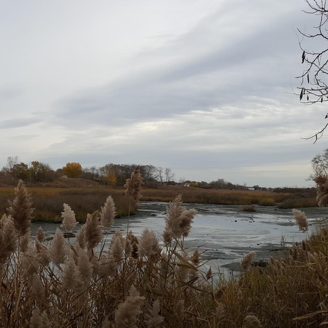 Idlewild Environmental Science Learning Center - Eastern Queens Alliance, Inc. photo 2