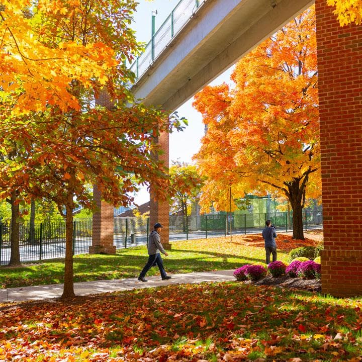 Manhattan University photo 4