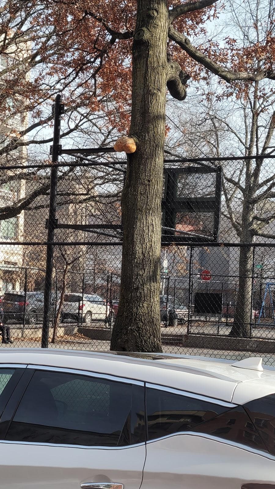 Flynn Playground photo 5