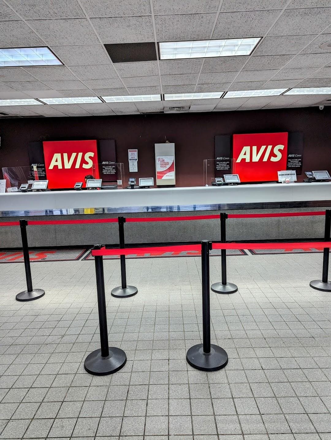 Avis Car Rental