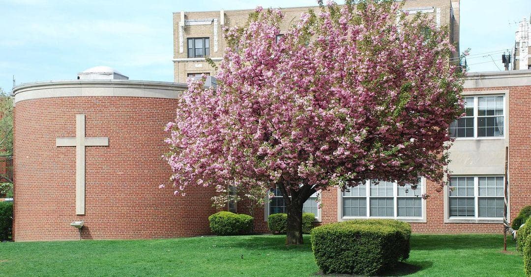 Saint Peter's University photo 1