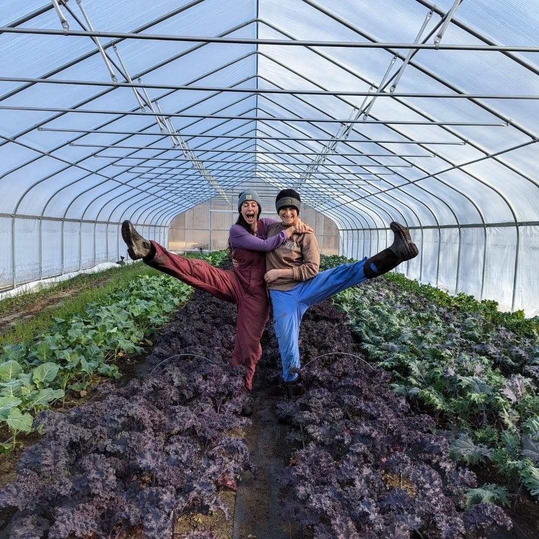 Massaro Community Farm Inc photo 4