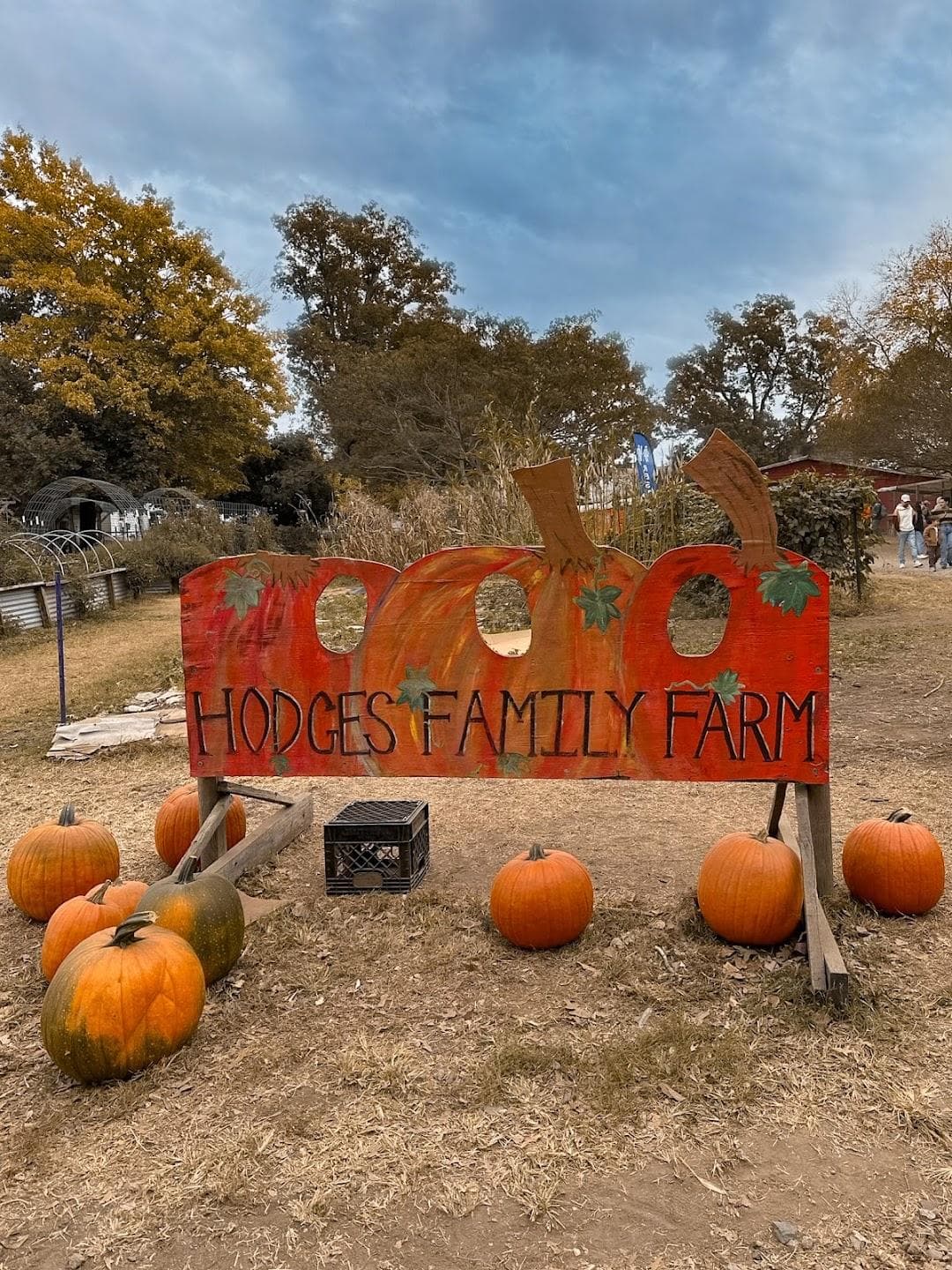 Hodges Family Farm & Pumpkin Patch - main location photo 6