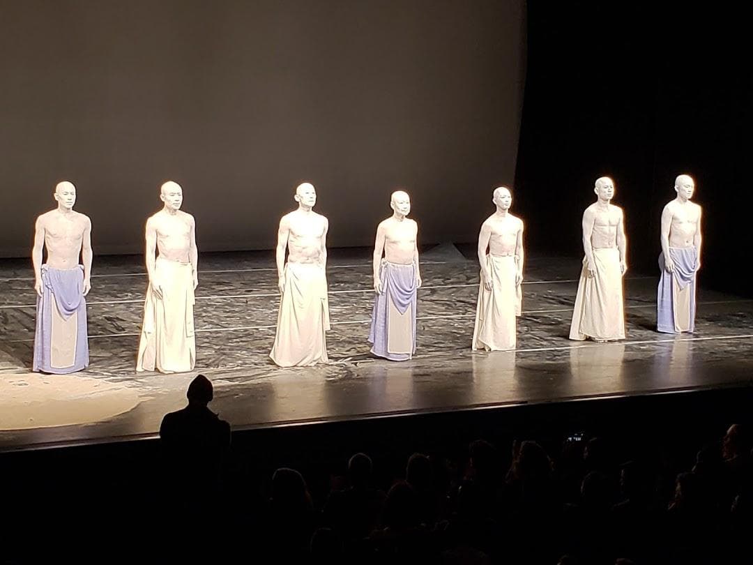 The Joyce Theater photo 5