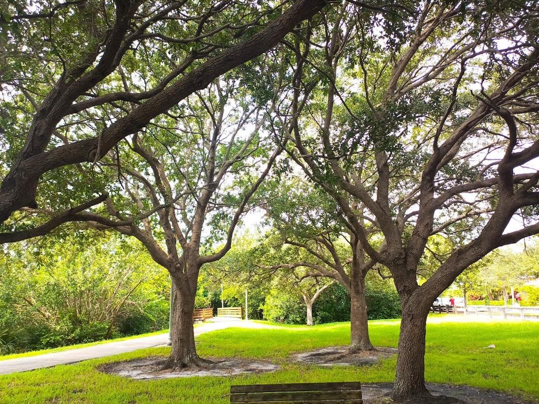 Highland Oaks Park photo 5