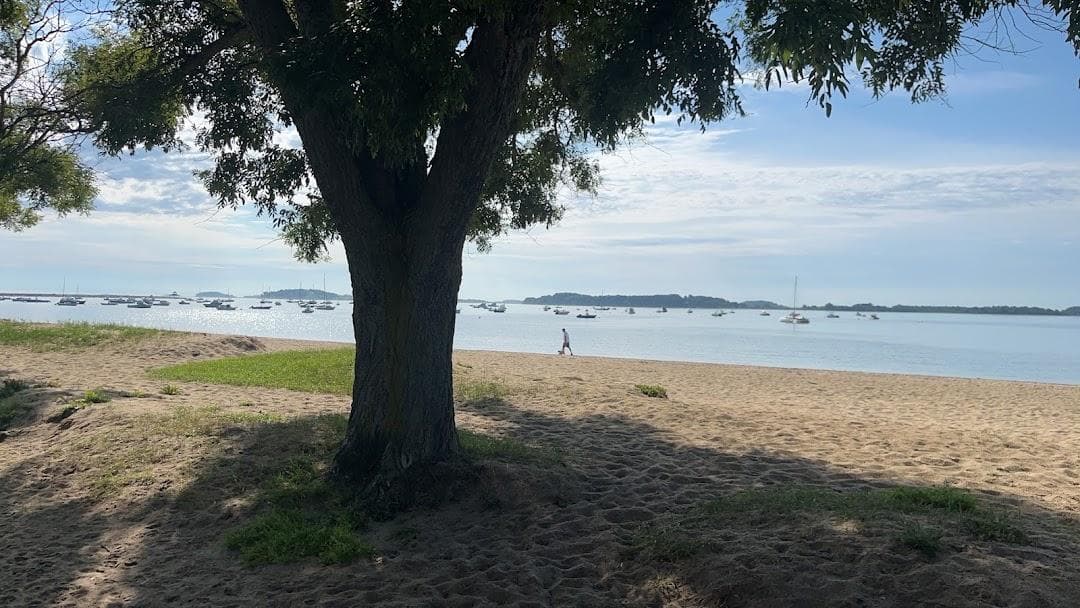 M Street Beach photo 4