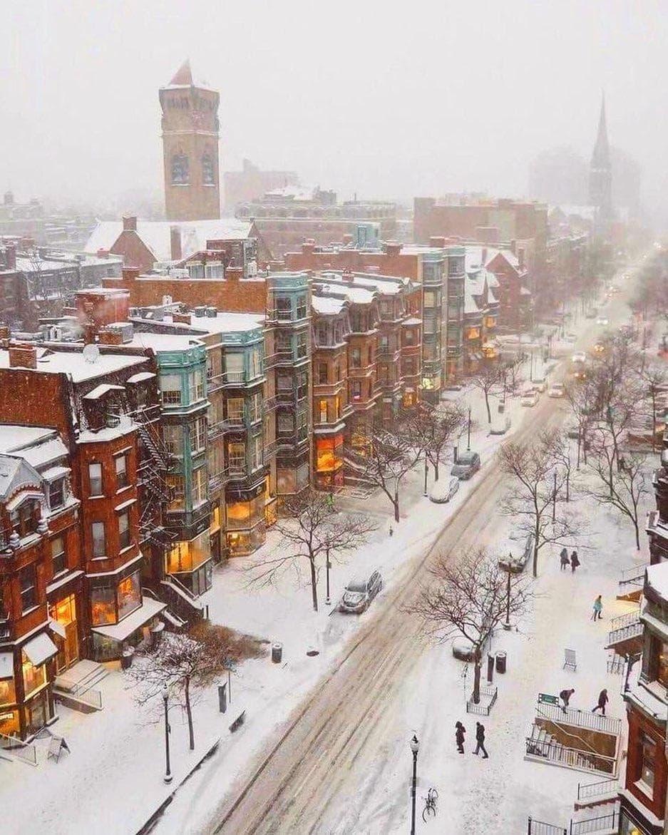 Newbury Street photo 6