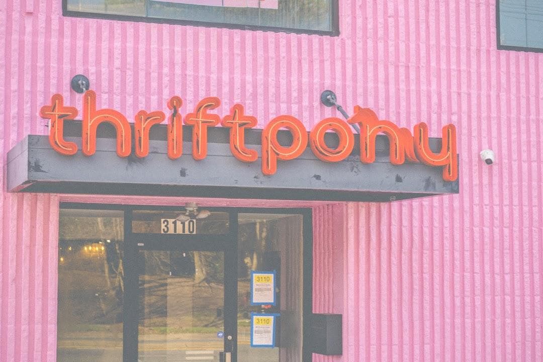 Thrift Pony photo 2
