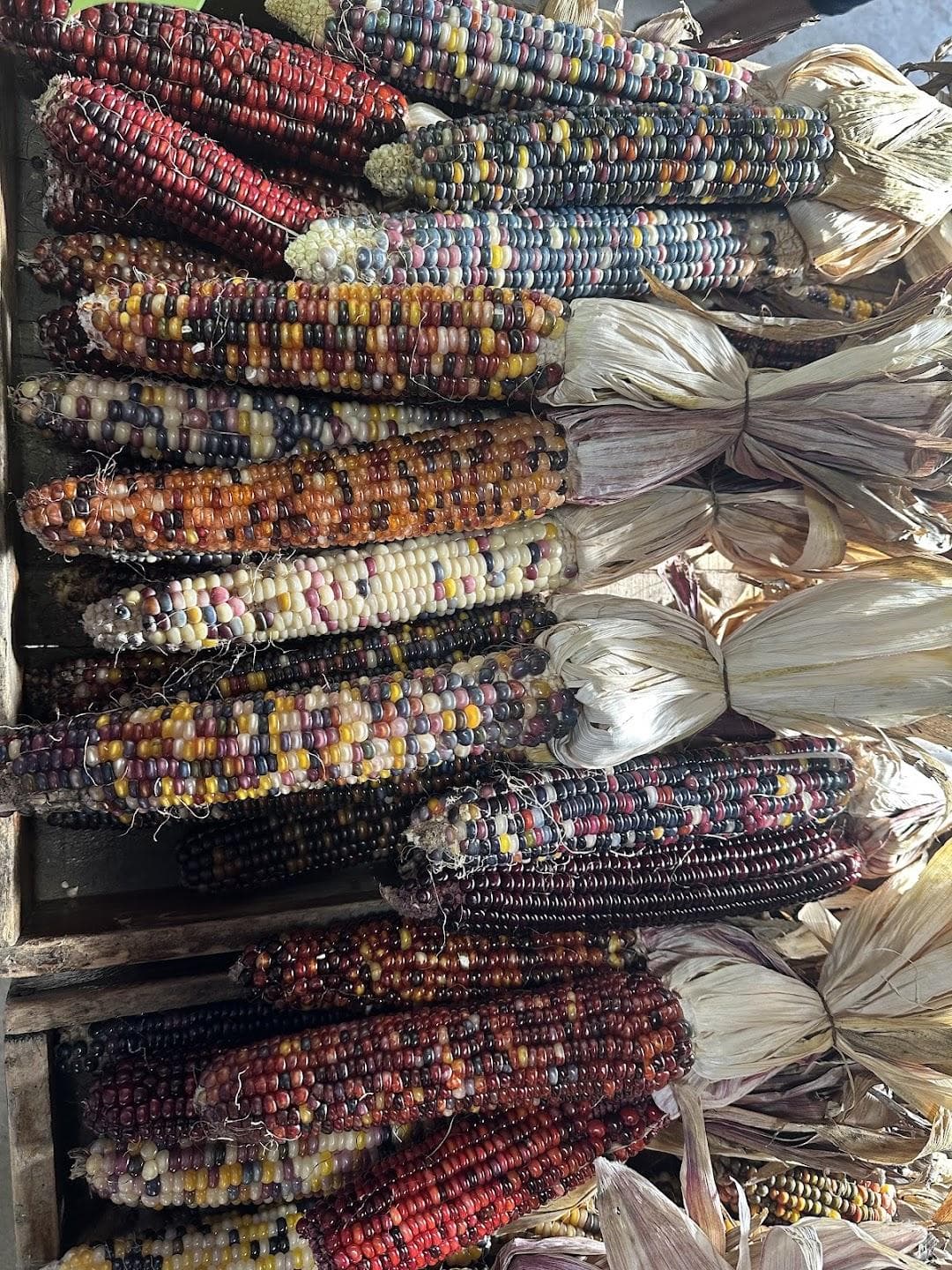 Hanson's Farm photo 6