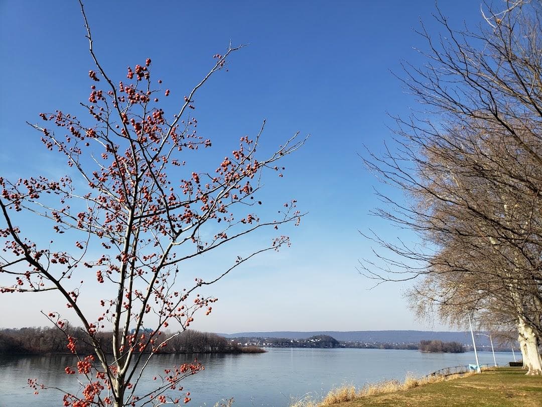 Riverfront Park photo 5