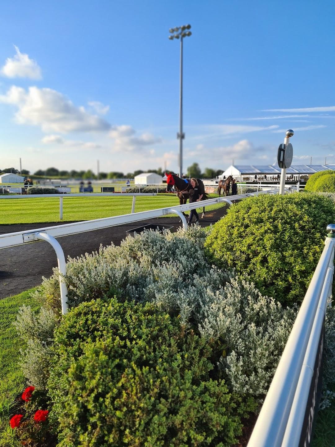 Chelmsford City Racecourse photo 4