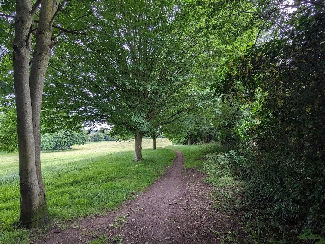 Addington Park photo 4