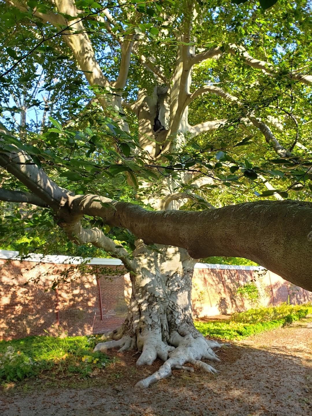 Lyman Estate photo 1