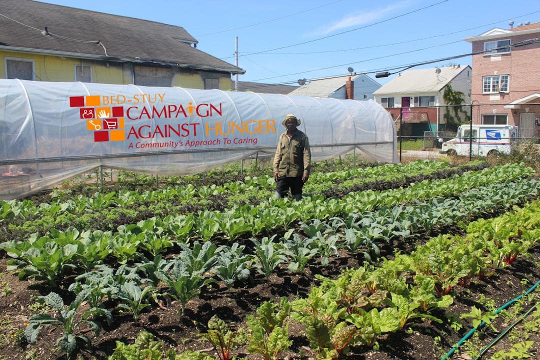 Far Rock Urban Agro Education Center photo 4