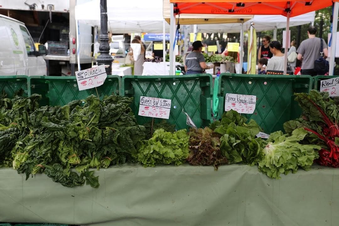 Tribeca Greenmarket photo 6