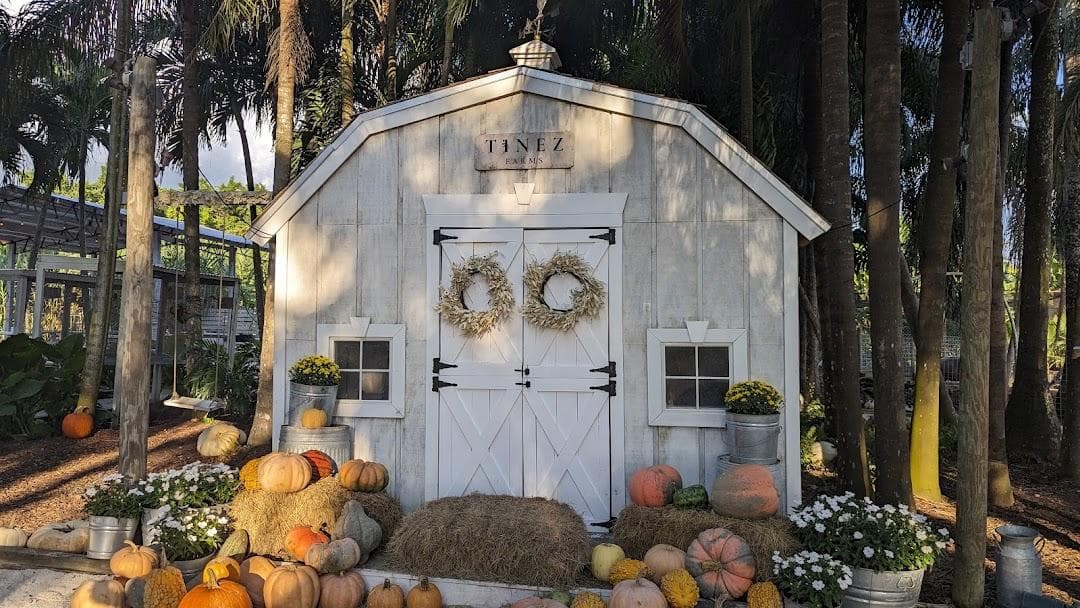 Tinez Farms photo 5