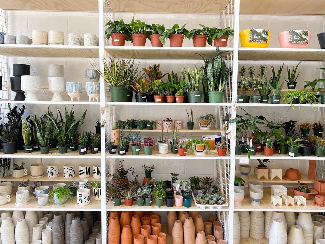 Little Shop of Soil photo 3