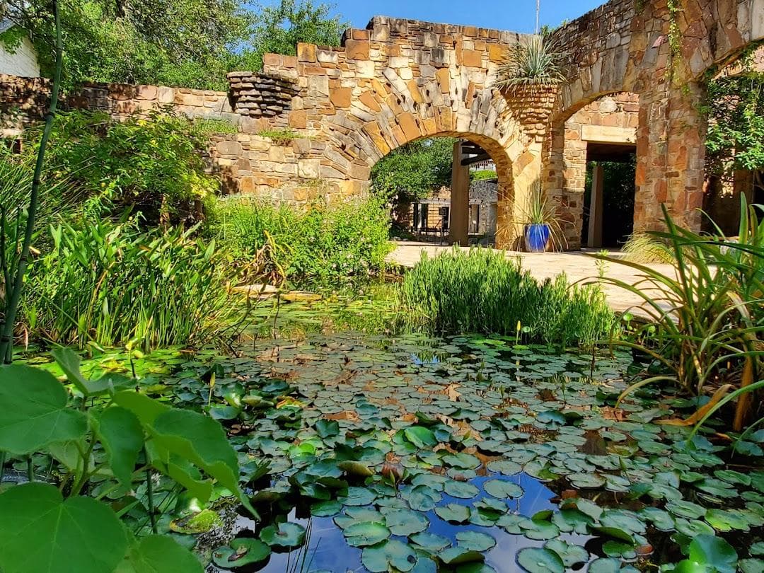Lady Bird Johnson Wildflower Center photo 5