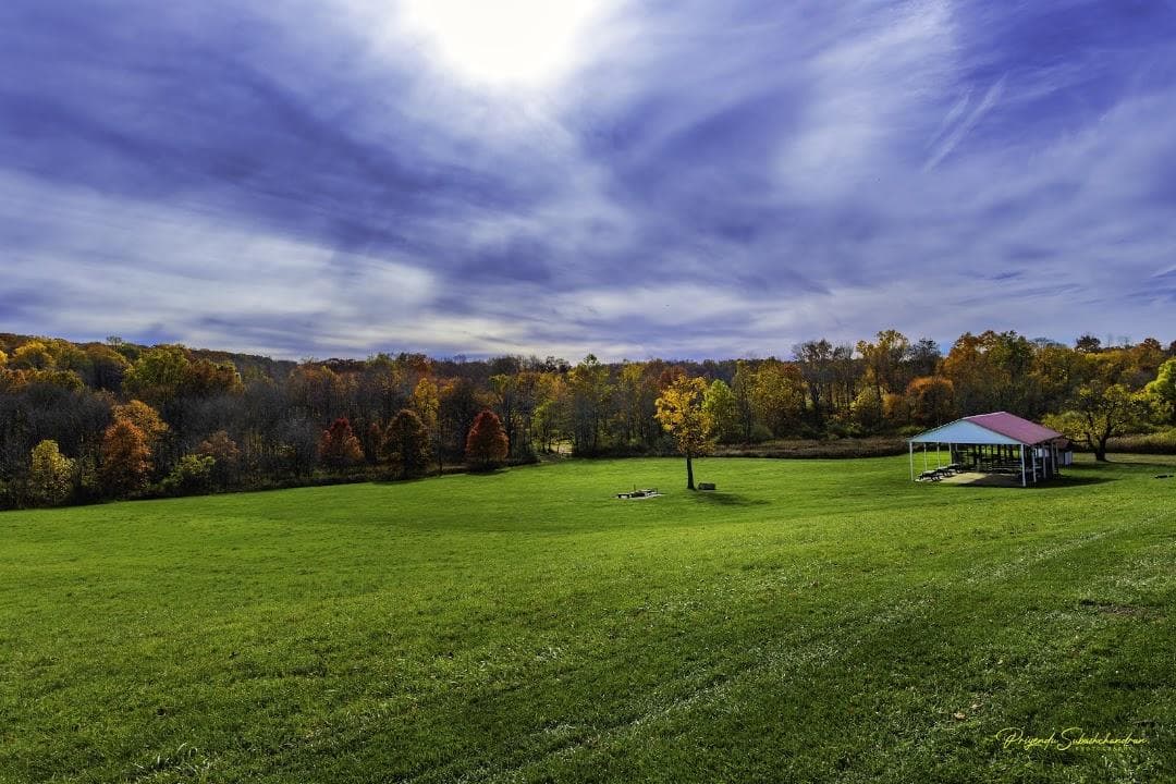 Christie Hoffman Farm Park photo 5