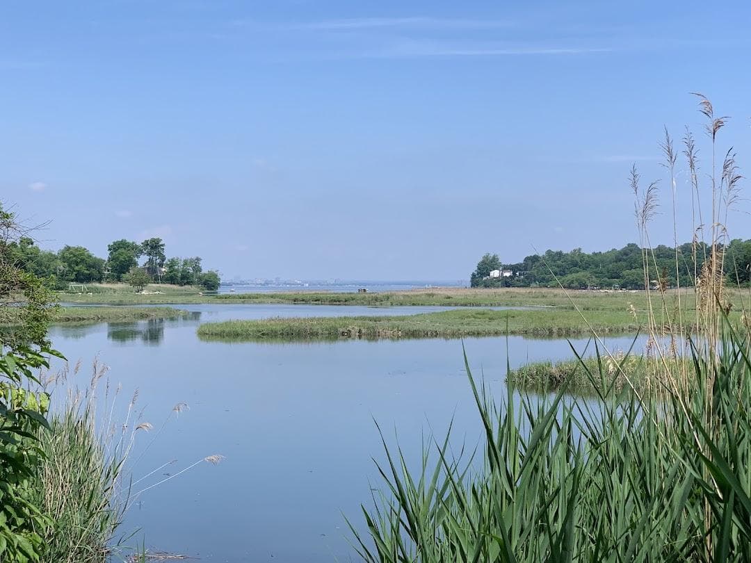 Udall's Cove Park Preserve photo 5