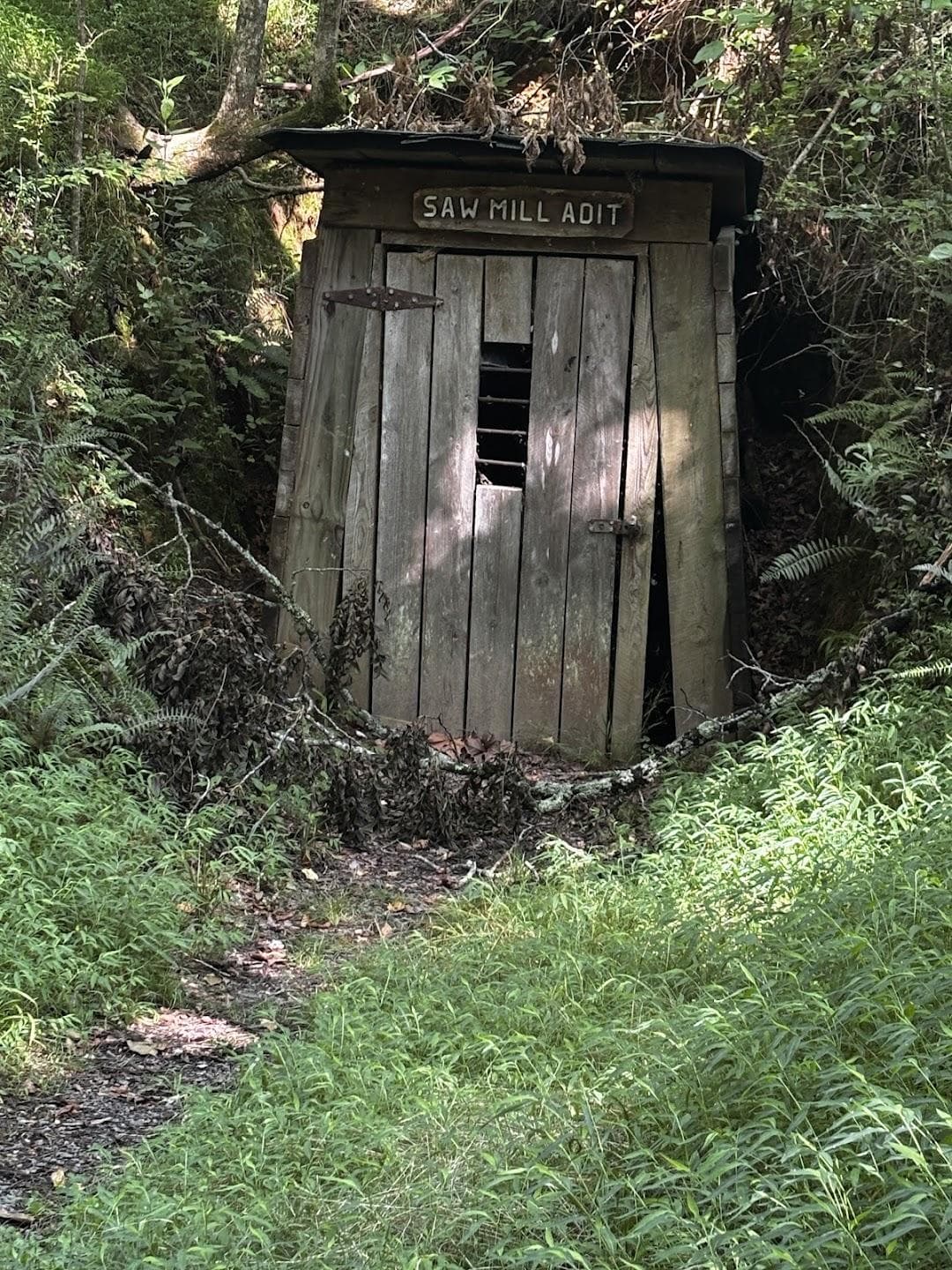 Reed Gold Mine photo 5