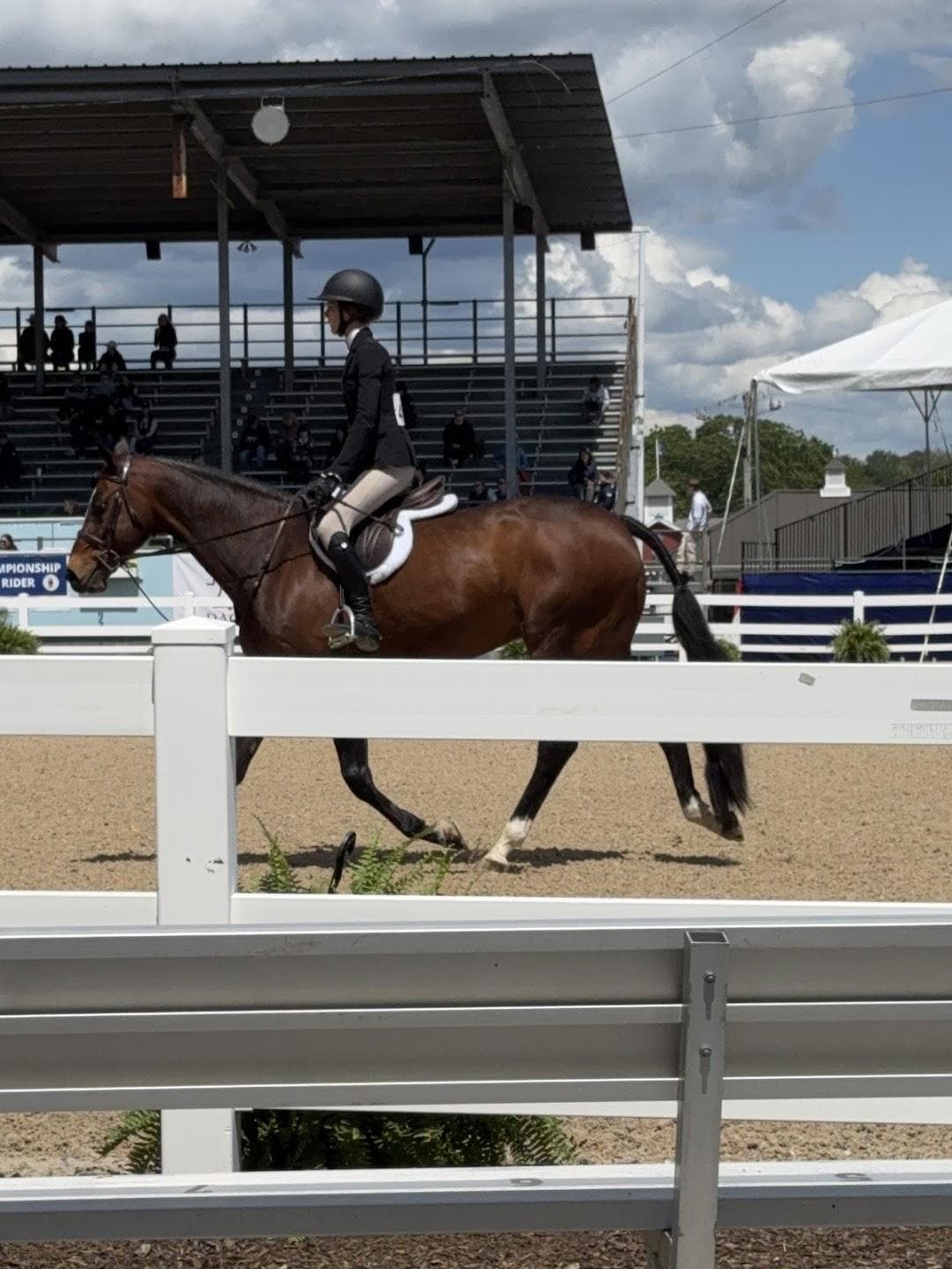 Devon Horse Show & Country Fair and Devon Fall Classic photo 3