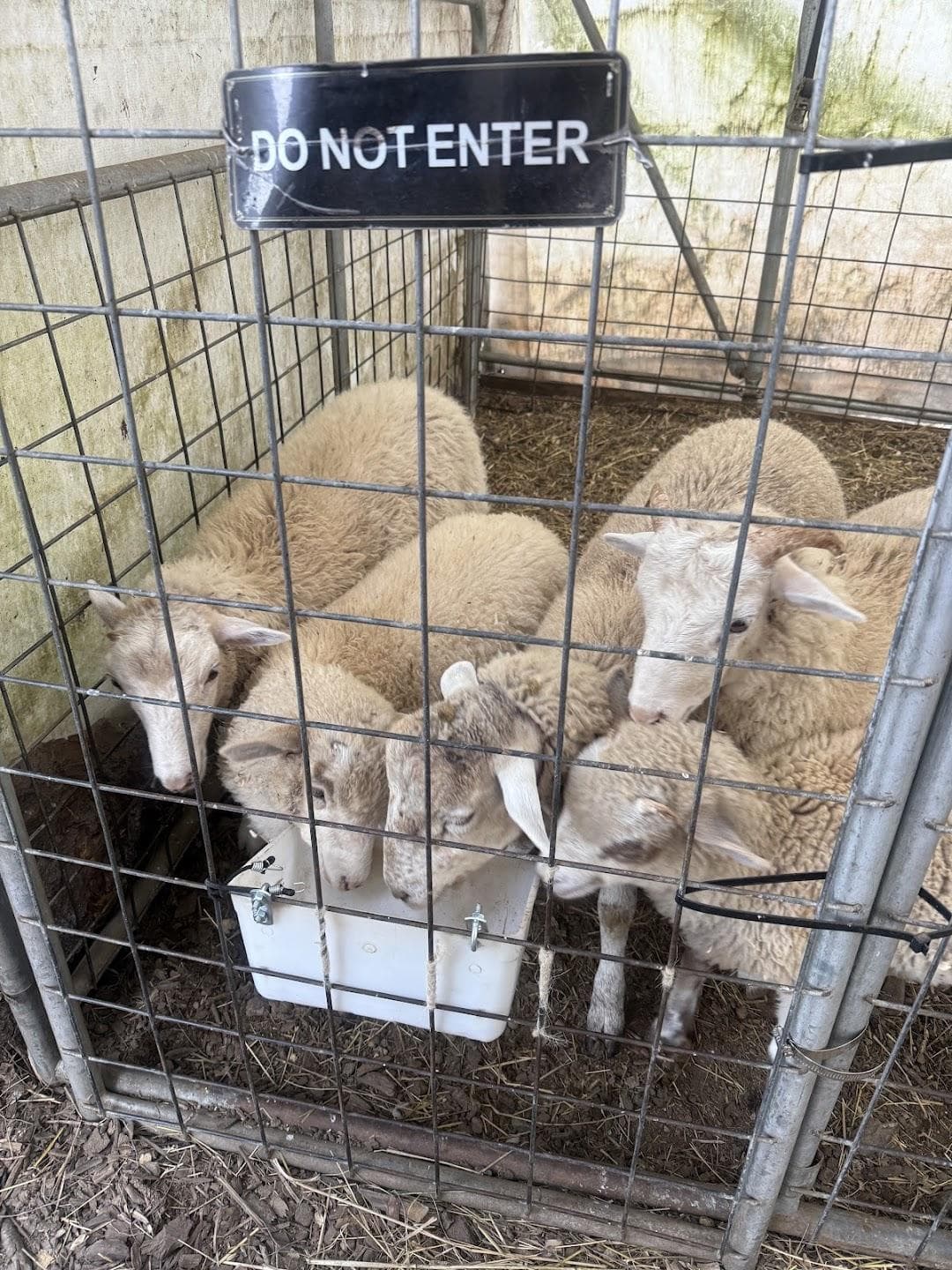 Stowe Farm photo 6