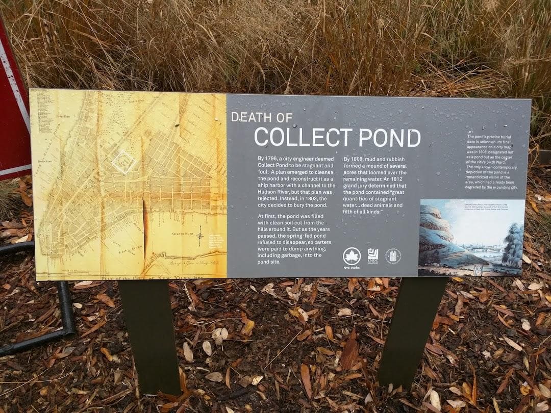 Collect Pond Park photo 4