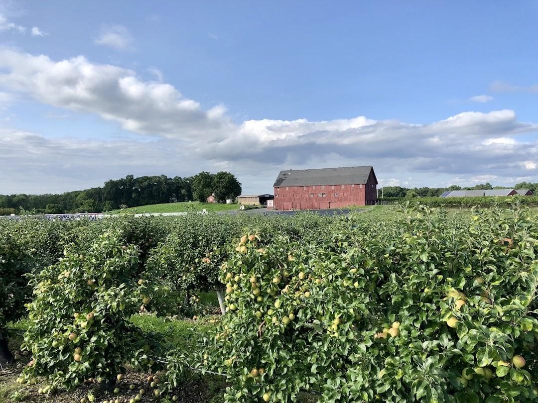 Belkin Family Lookout Farm - U-Pick Orchard - Taproom, Outdoor Dining and Market photo 5