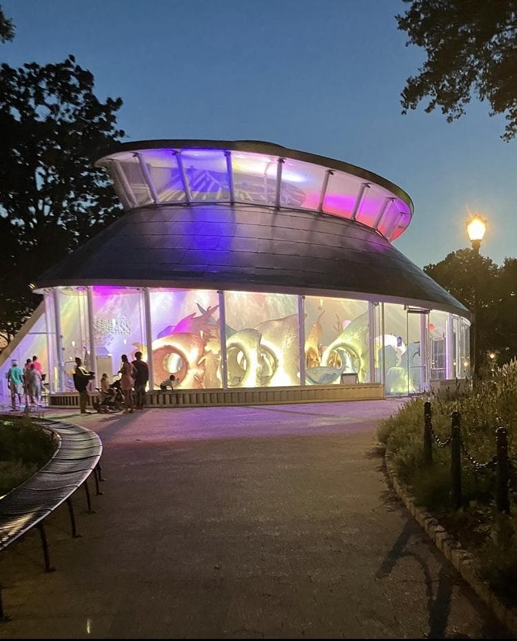 SeaGlass Carousel photo 3