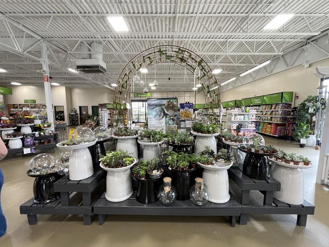 Pike Nurseries photo 6