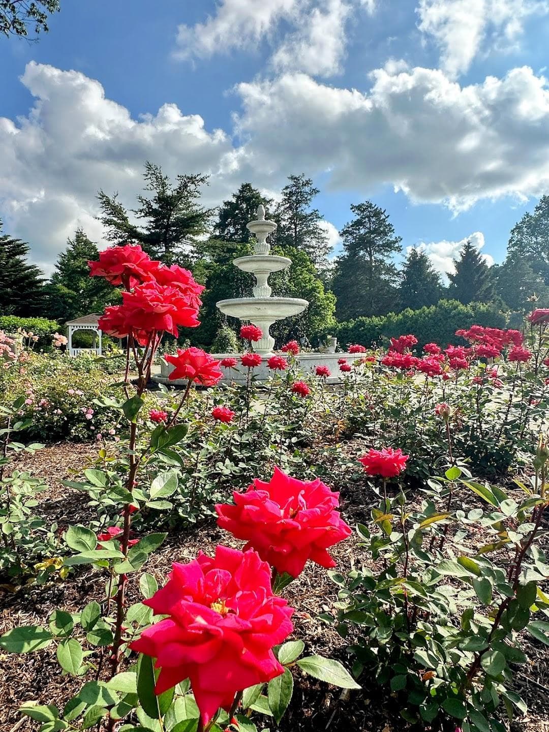 Colonial Park photo 5