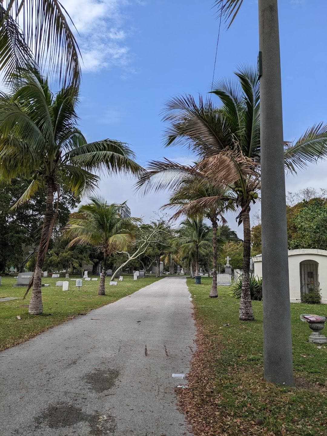 Miami City Cemetery photo 4
